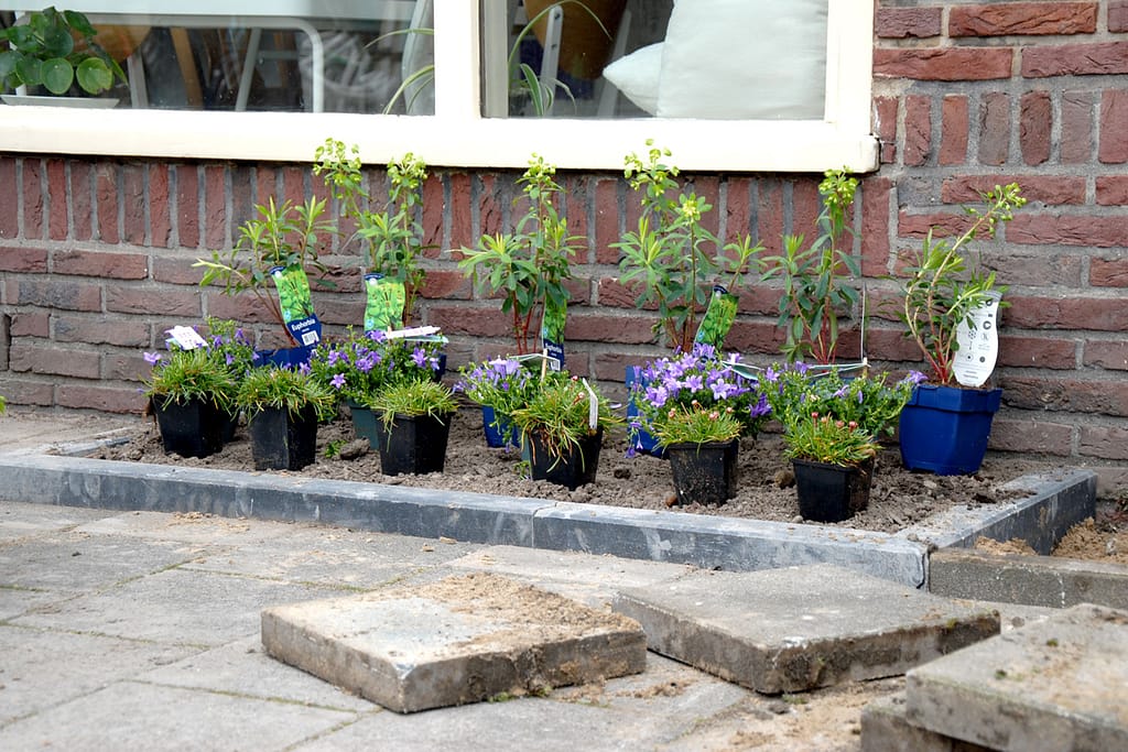 Laat je tuintegels ophalen door de tegeltaxi in Elburg en ontvang 20% korting op tuinplanten